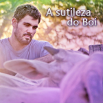 A sutileza do Boi